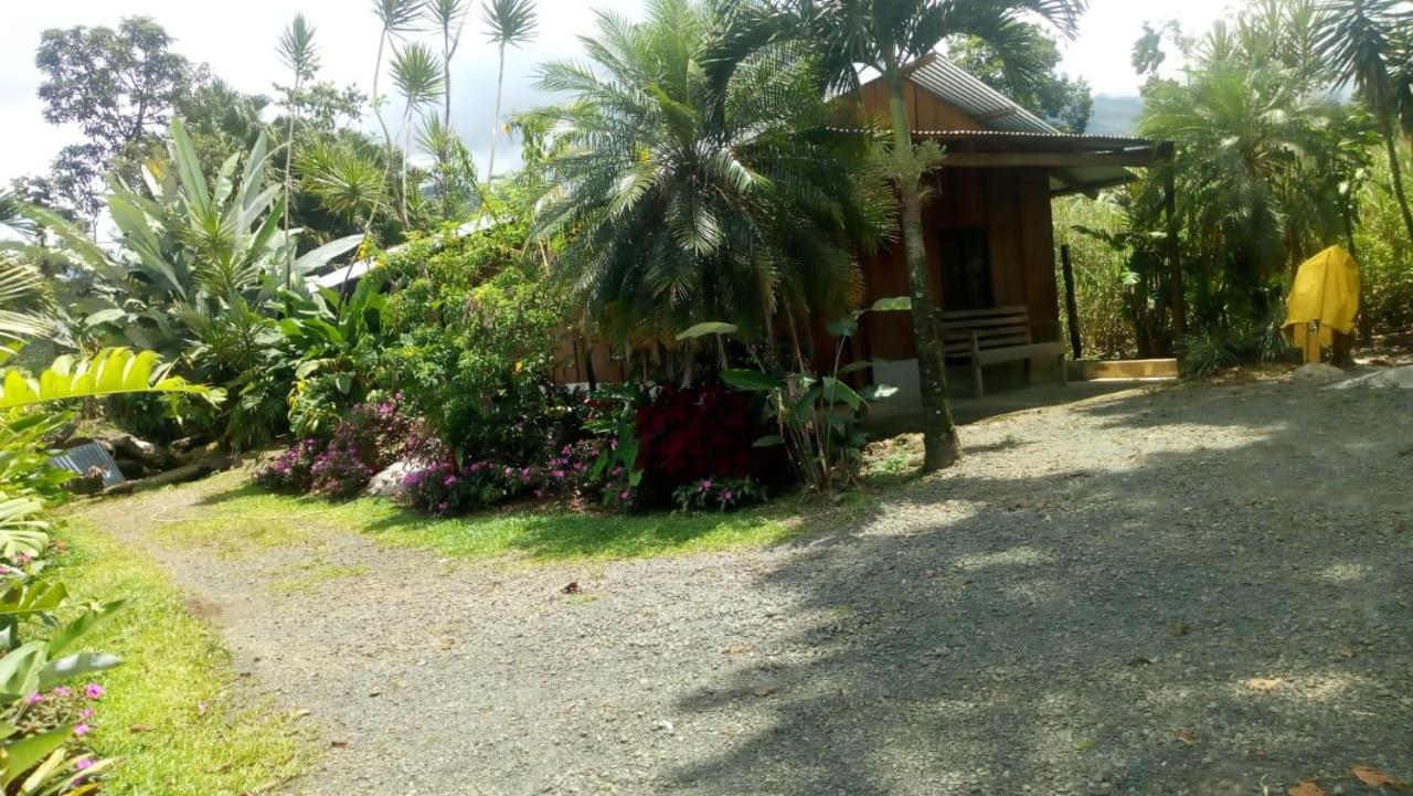 Posada Rio Celeste In Bed & Breakfast Eksteriør bilde